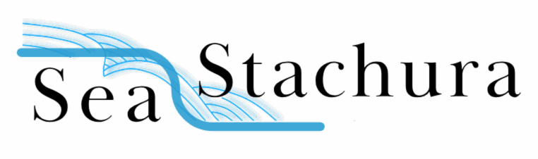 Logo of name, Sea Stachura, in aqua with a line drawing of waves.
